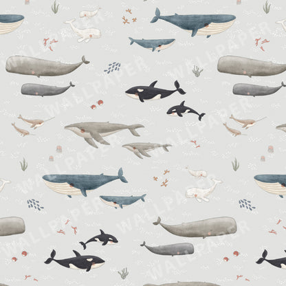 Ocean Whales Peel and Stick Wallpaper Sample - Coastal, Animals, Ocean
