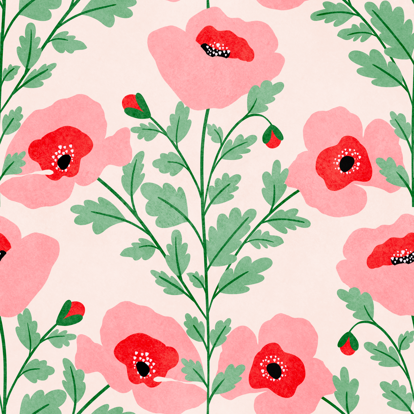 Pink Poppies