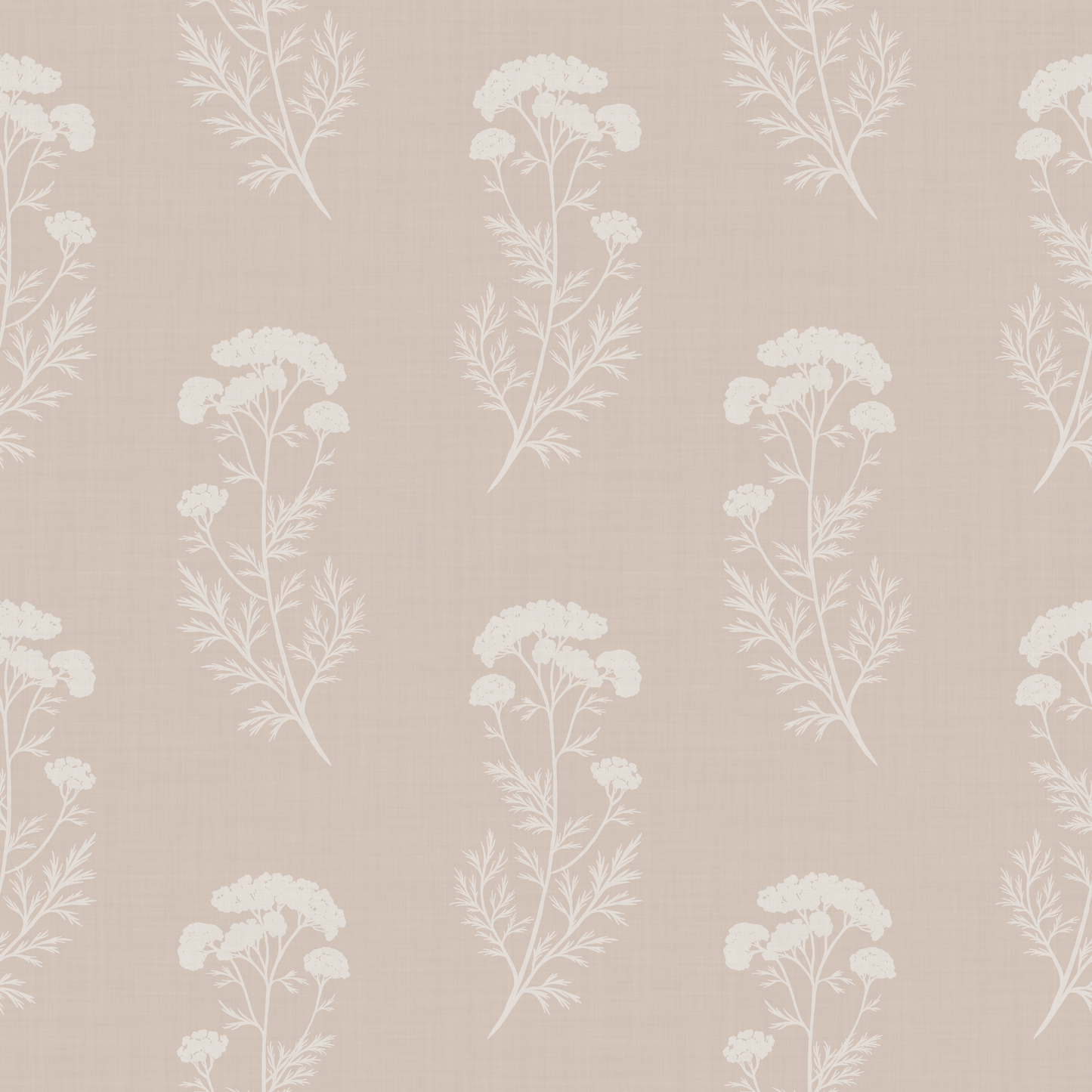Queen Anne's Lace Meadow Wallpaper