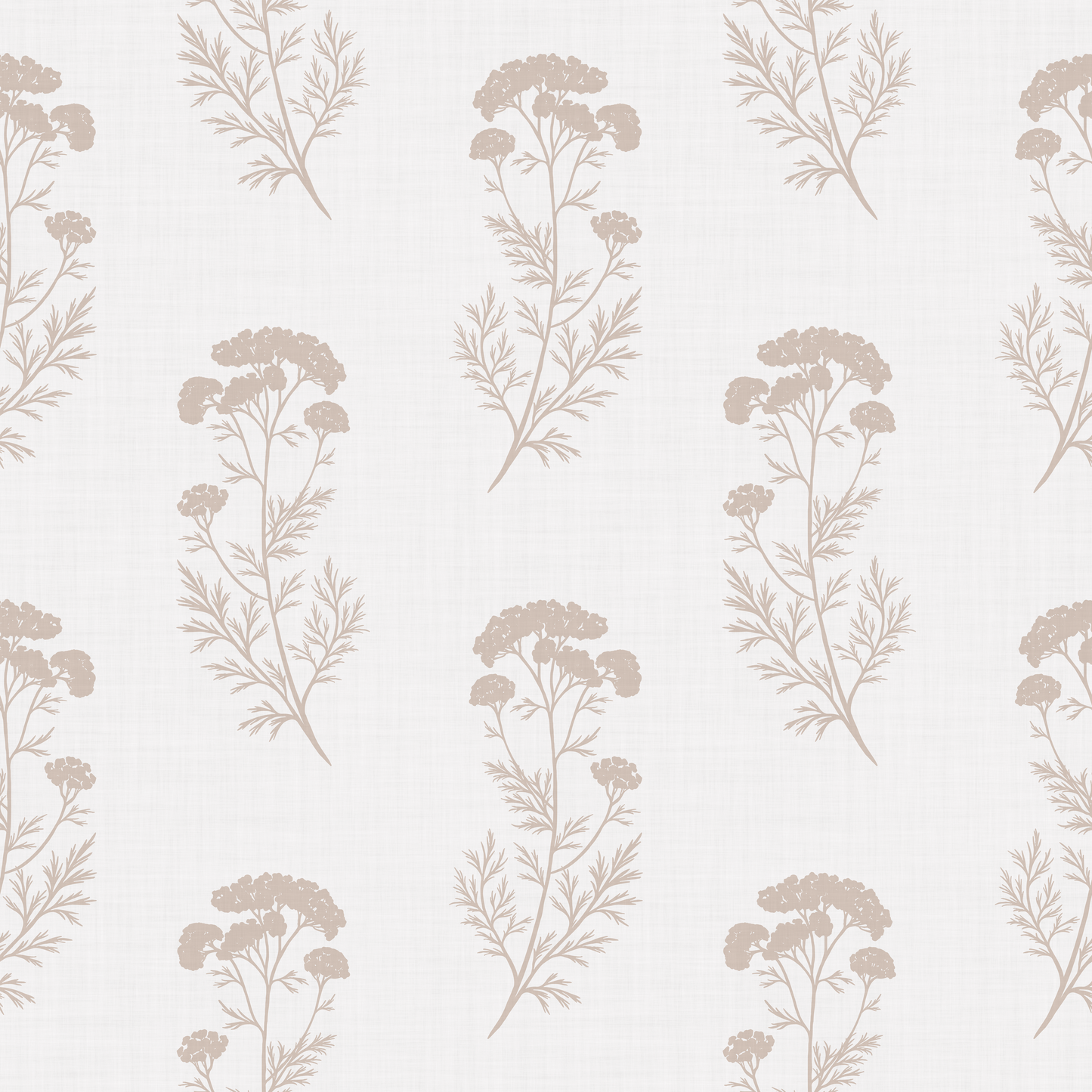 Queen Anne's Lace Meadow Wallpaper