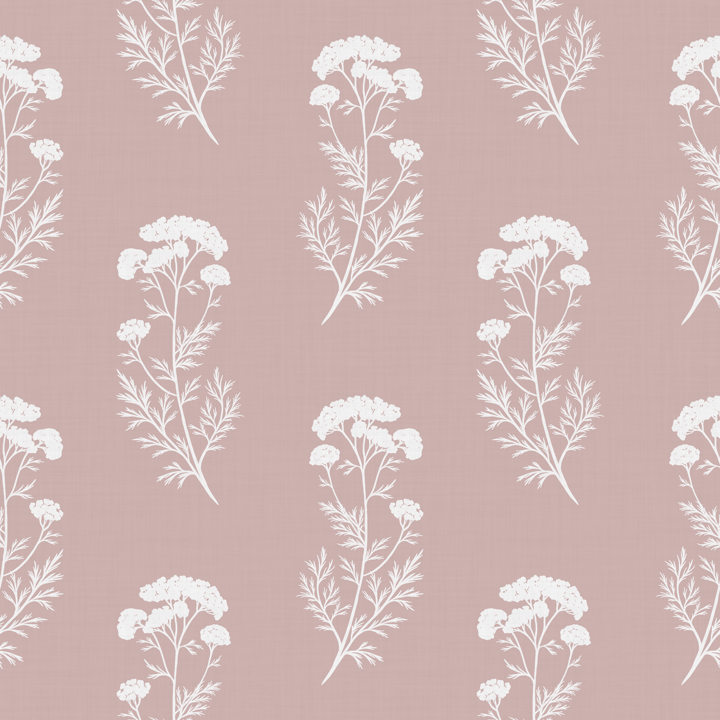 Queen Anne's Lace Meadow Wallpaper