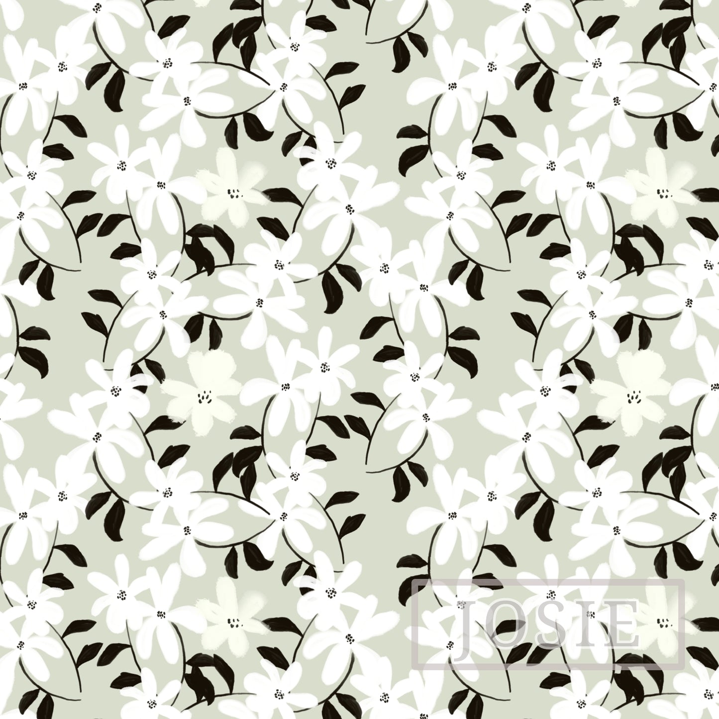 White Spring Wallpaper