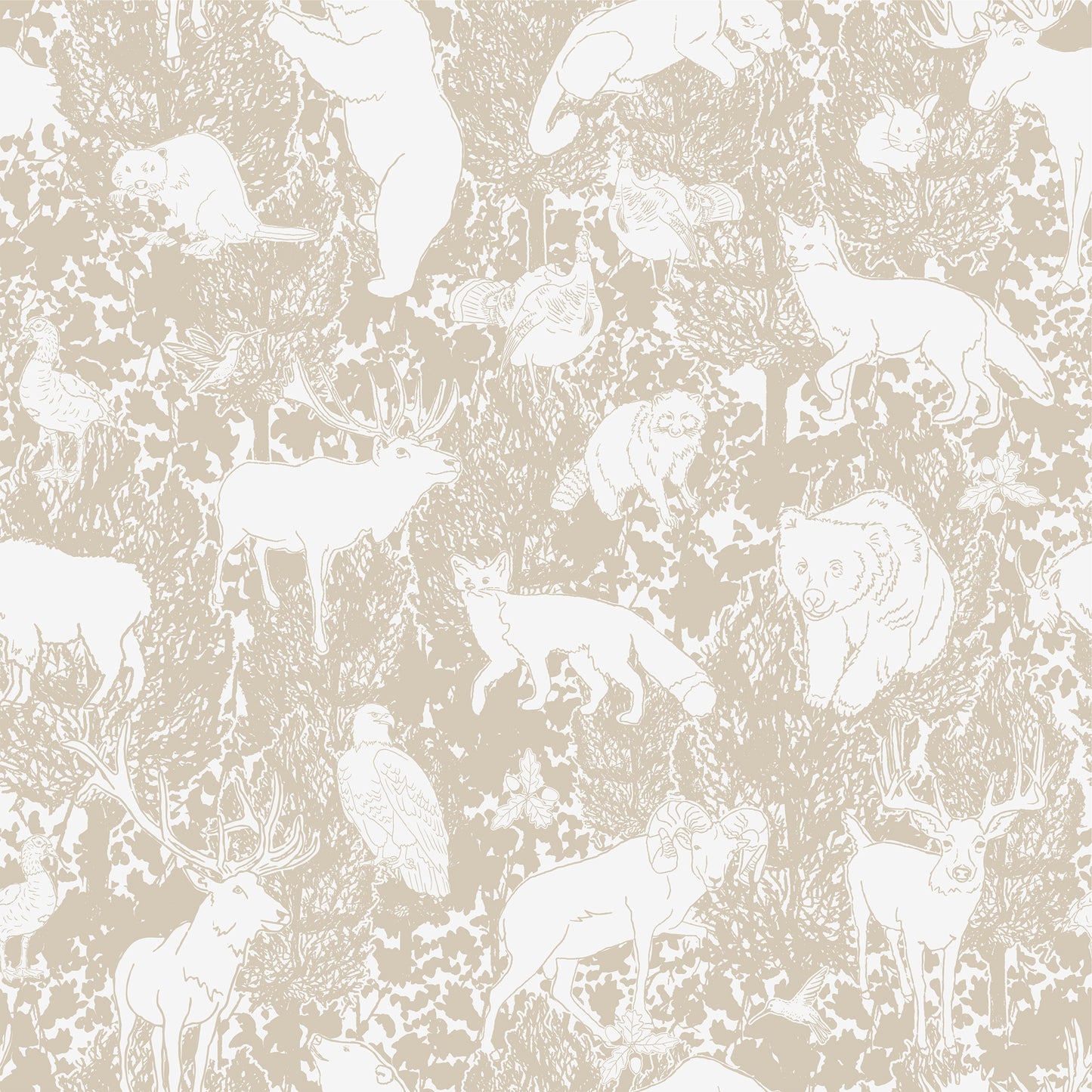 Wildlife Wallpaper