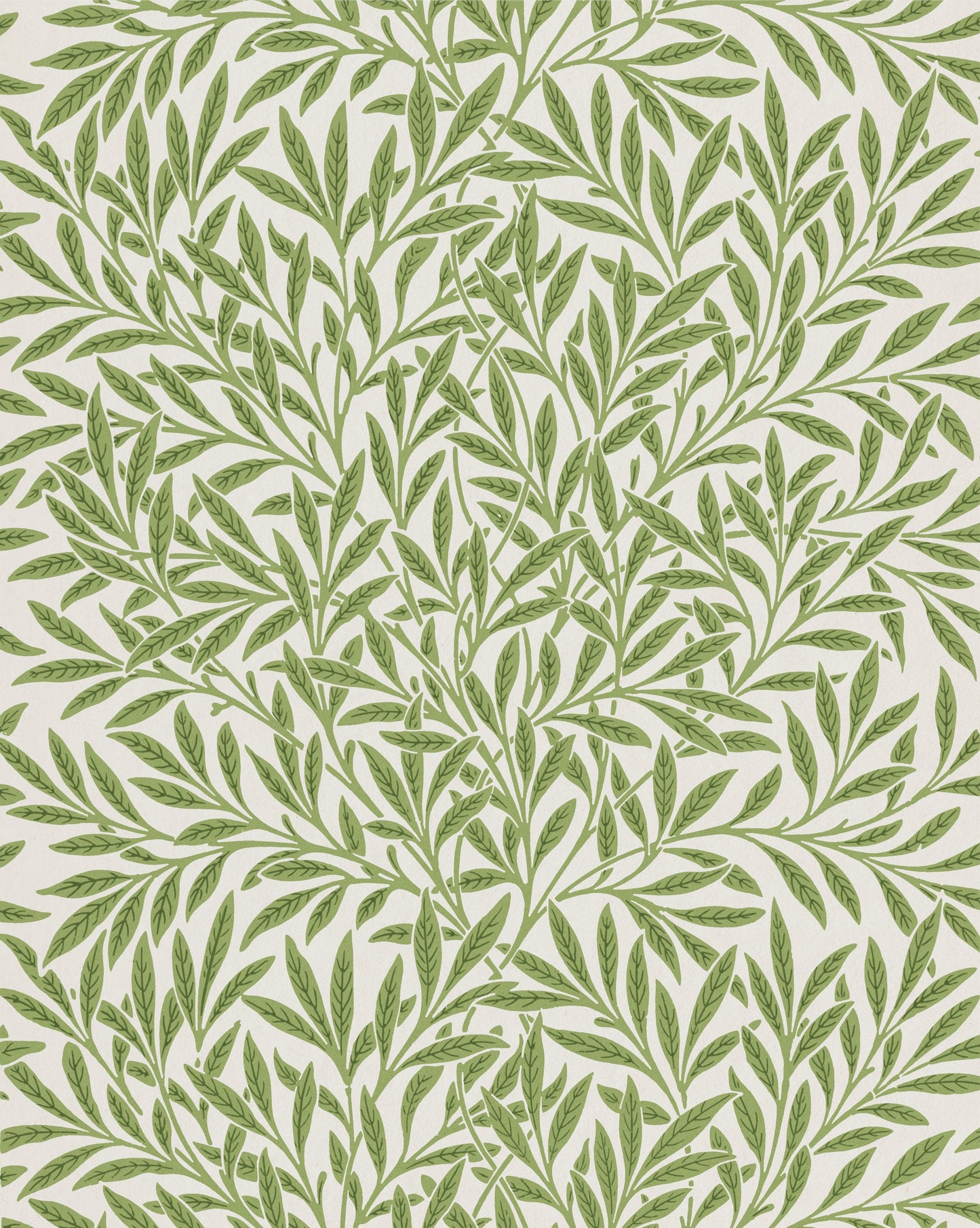 Willow by William Morris