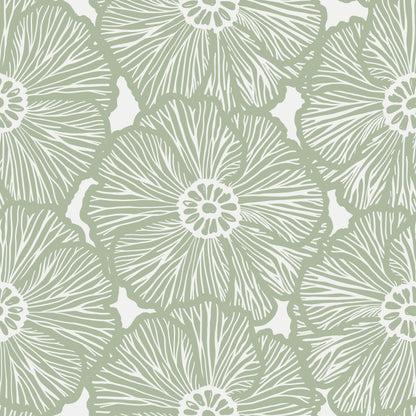 Zebra Flower Wallpaper