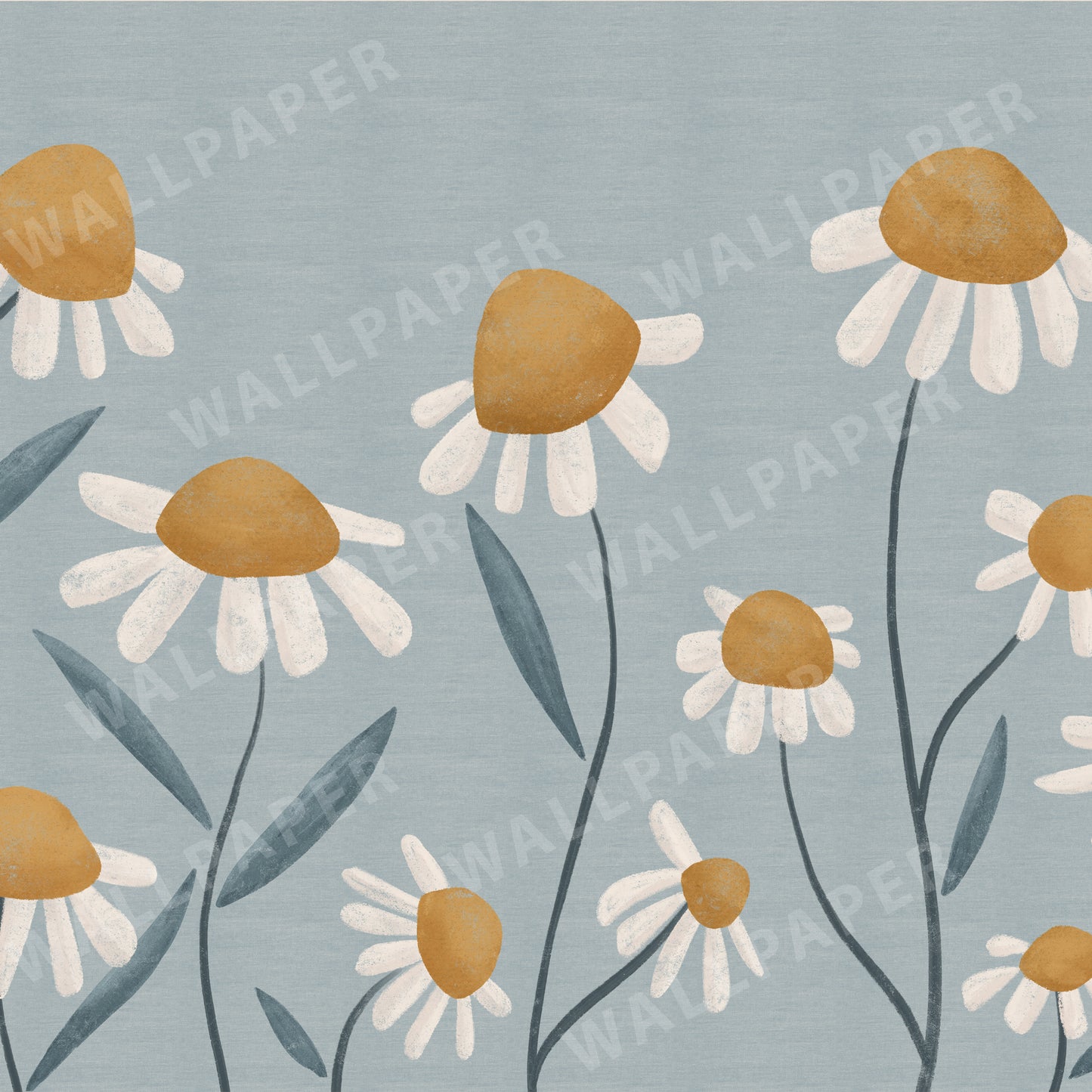 Daisies Mural Peel and Stick Wall Mural - Floral, Botanical, Daisy