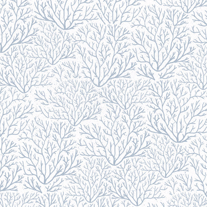 Coral Reef Wallpaper