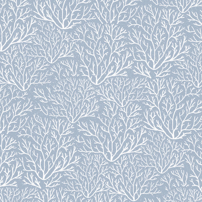 Coral Reef Wallpaper
