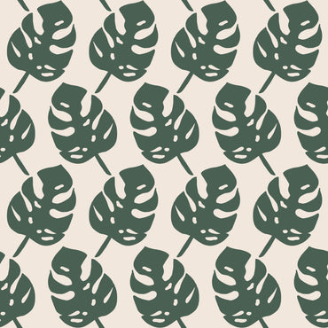 Monstera Plant Leaves Wallpaper