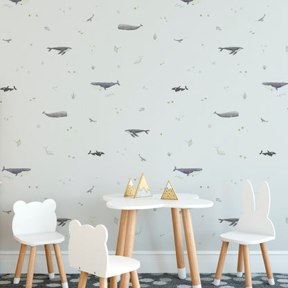 Whale Species Peel and Stick Wallpaper - Coastal, Animals, Nautical
