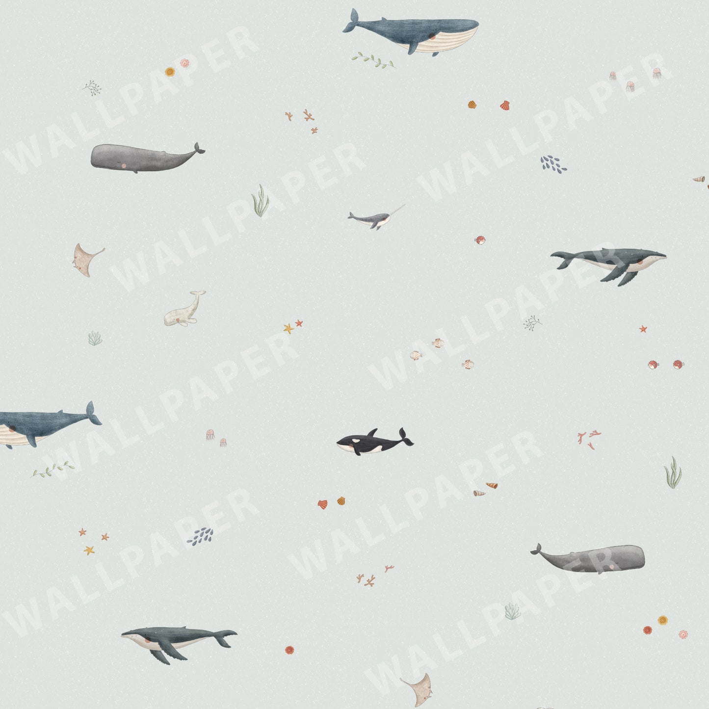 Whale Species Peel and Stick Wallpaper - Coastal, Animals, Nautical