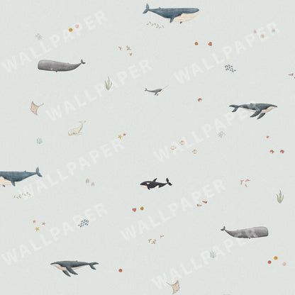 Whale Species Peel and Stick Wallpaper - Coastal, Animals, Nautical