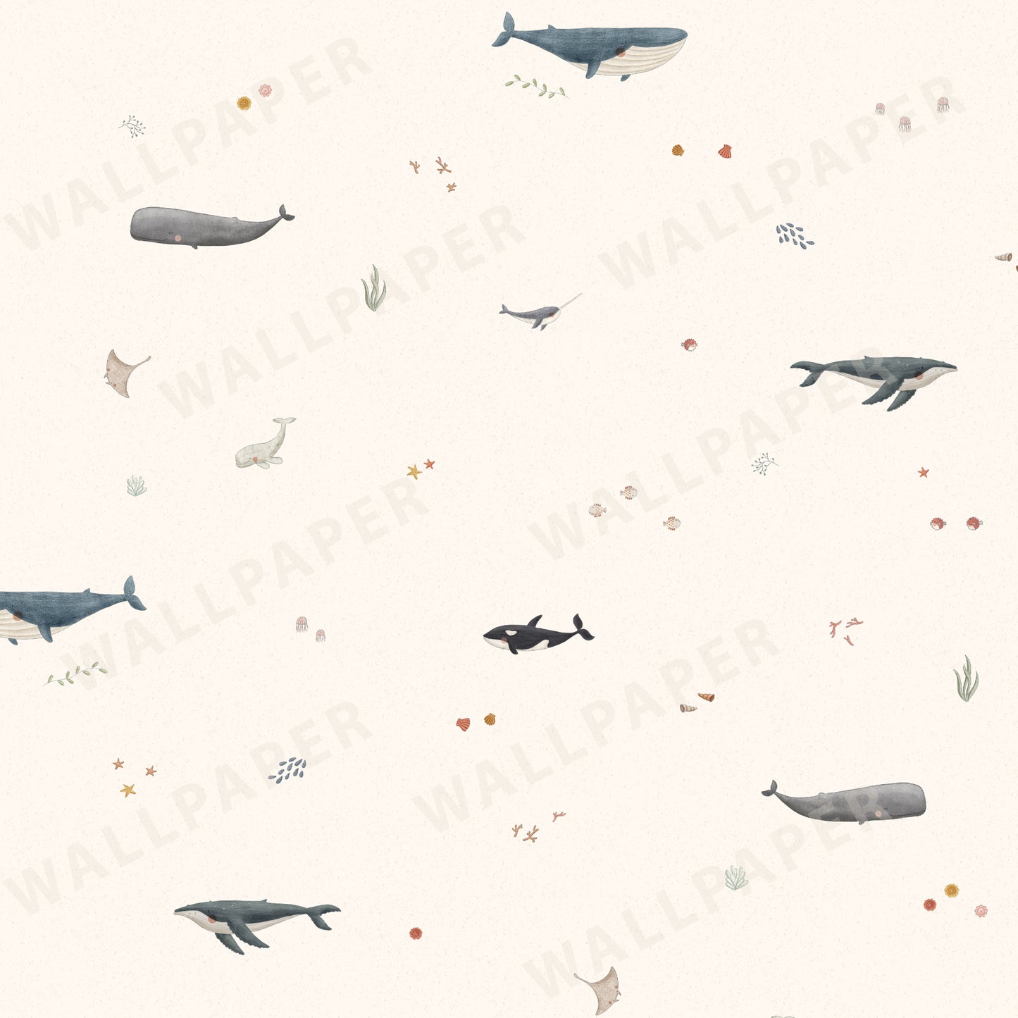 Whale Species Peel and Stick Wallpaper - Coastal, Animals, Nautical