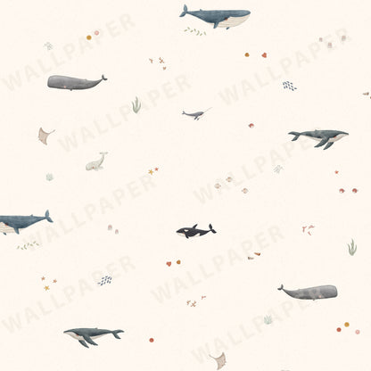 Whale Species Peel and Stick Wallpaper - Coastal, Animals, Nautical